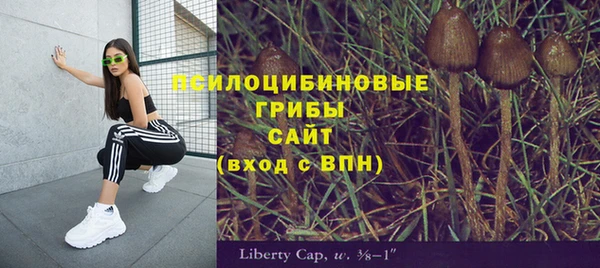 молекула духа Алексин