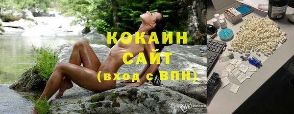 молекула духа Алексин