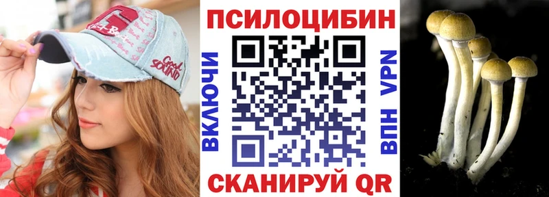 купить наркоту  mega   Псилоцибиновые грибы Psilocybe  Череповец 